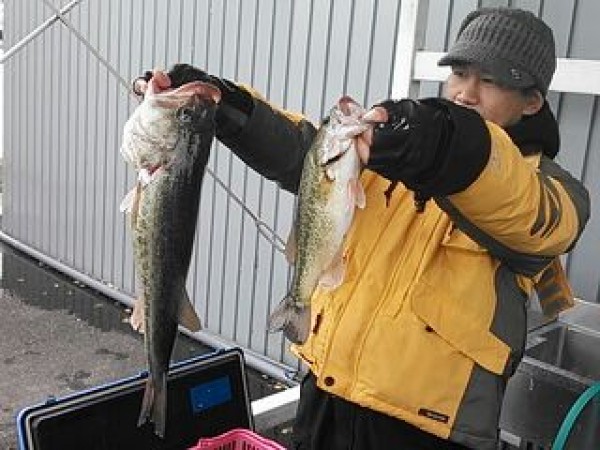 hideup 乃村弘栄 ブログ写真 2014/12/08