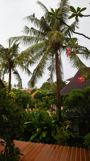 hideup 乃村弘栄 ブログ写真 2016/02/03