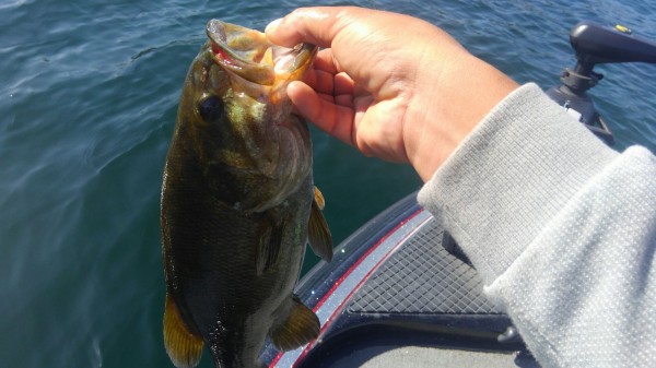 hideup 乃村弘栄 ブログ写真 2016/10/10