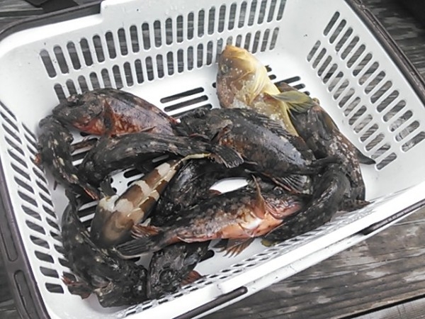 hideup 乃村弘栄 ブログ写真 2015/10/07