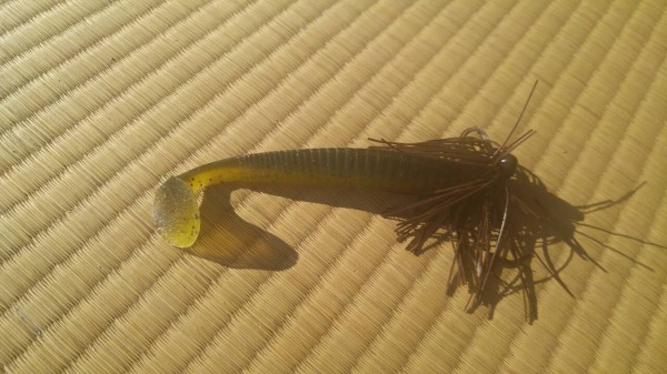 hideup 乃村弘栄 ブログ写真 2015/12/17