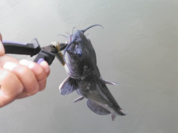 hideup 乃村弘栄 ブログ写真 2015/07/04