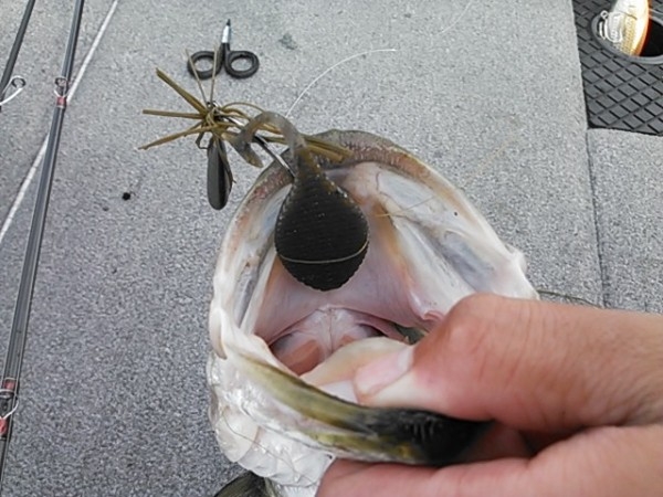 hideup 乃村弘栄 ブログ写真 2015/09/12