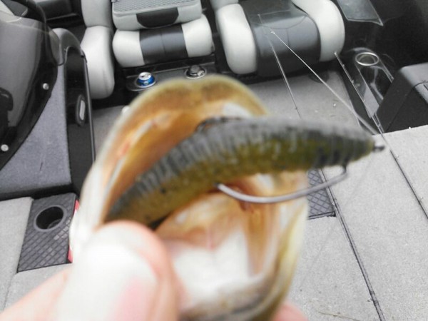 hideup 乃村弘栄 ブログ写真 2015/05/10