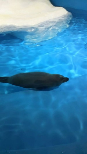 hideup 乃村弘栄 ブログ写真 2016/02/12