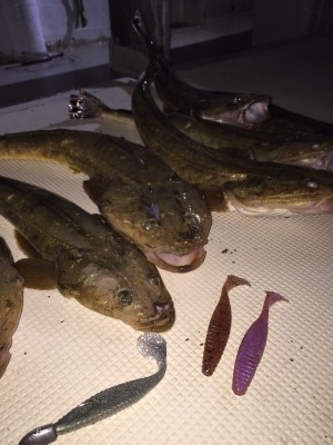 hideup 乃村弘栄 ブログ写真 2015/09/10