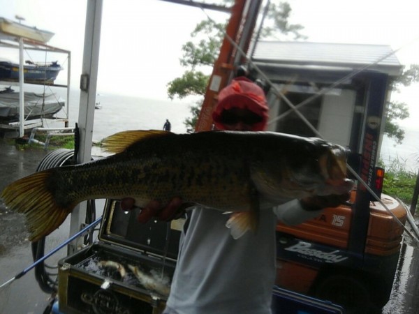 hideup 乃村弘栄 ブログ写真 2017/07/03