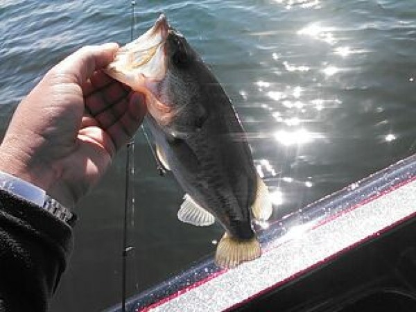 hideup 乃村弘栄 ブログ写真 2014/11/05