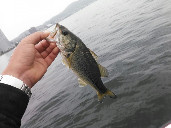 hideup 乃村弘栄 ブログ写真 2015/05/10