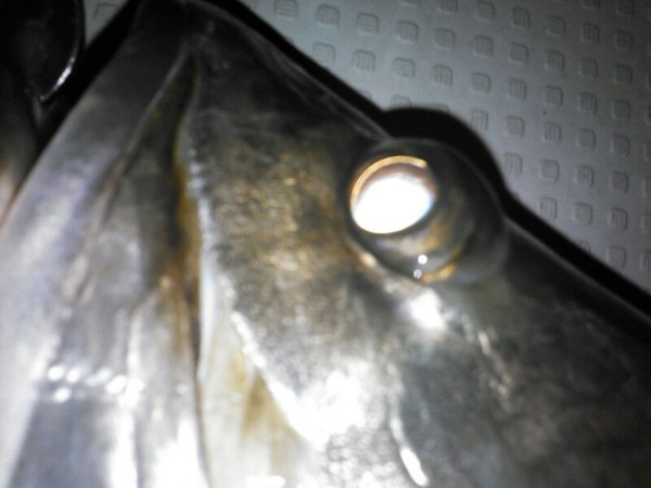 hideup 乃村弘栄 ブログ写真 2015/06/03