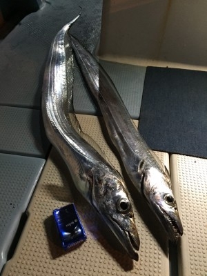 hideup 乃村弘栄 ブログ写真 2015/12/03