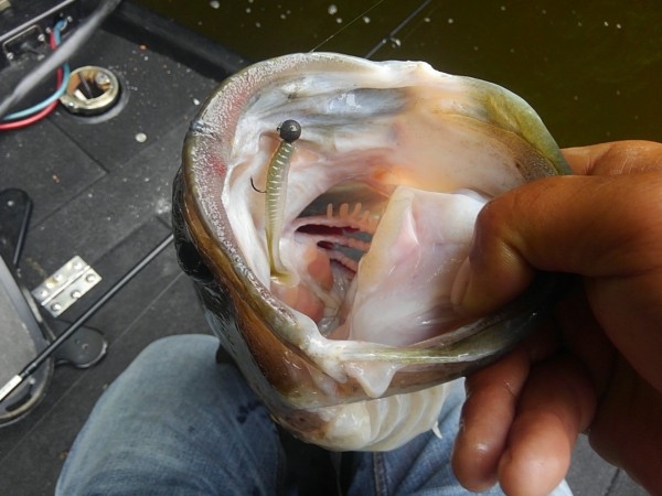 hideup 乃村弘栄 ブログ写真 2017/06/06