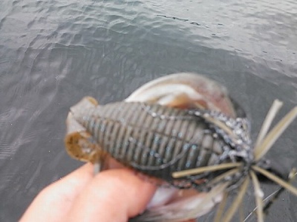 hideup 乃村弘栄 ブログ写真 2014/08/04