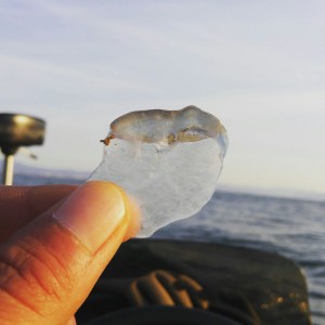 hideup 乃村弘栄 ブログ写真 2018/03/01