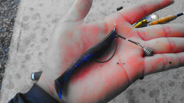 hideup 乃村弘栄 ブログ写真 2018/03/05