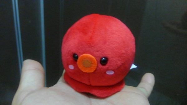 hideup 乃村弘栄 ブログ写真 2018/03/05