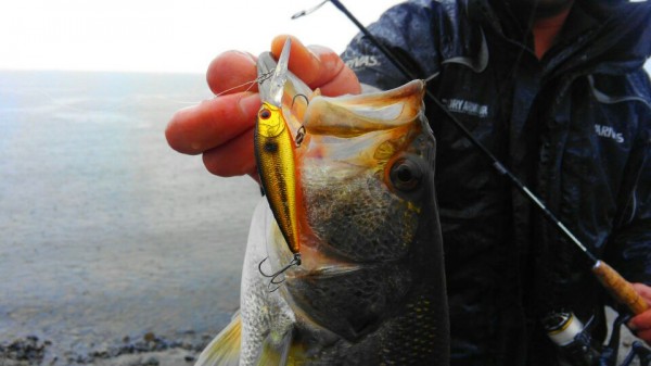 hideup 乃村弘栄 ブログ写真 2018/03/06