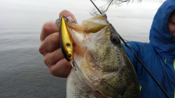 hideup 乃村弘栄 ブログ写真 2018/03/06