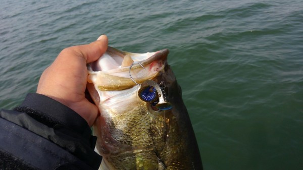 hideup 乃村弘栄 ブログ写真 2018/04/02