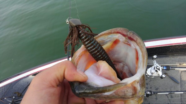 hideup 乃村弘栄 ブログ写真 2018/04/02