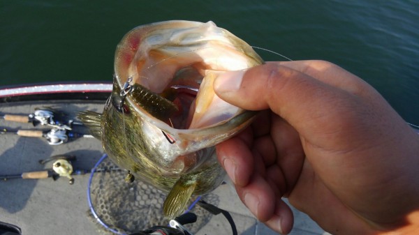 hideup 乃村弘栄 ブログ写真 2018/04/04