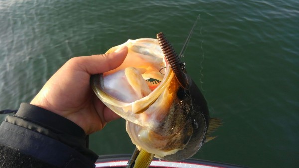 hideup 乃村弘栄 ブログ写真 2018/04/04