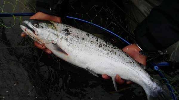 hideup 乃村弘栄 ブログ写真 2018/04/06