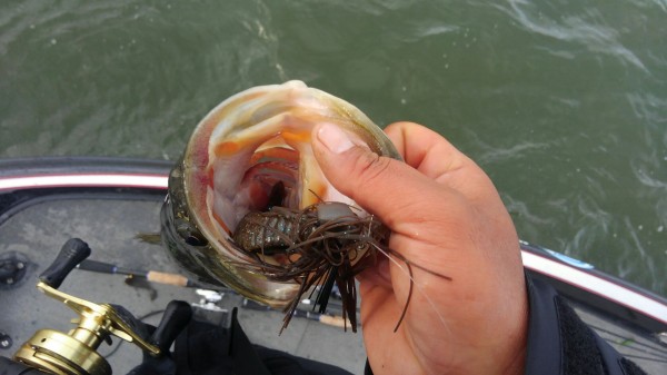 hideup 乃村弘栄 ブログ写真 2018/04/08