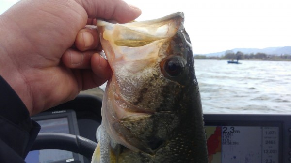 hideup 乃村弘栄 ブログ写真 2018/04/08