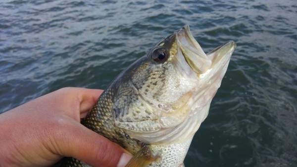 hideup 乃村弘栄 ブログ写真 2018/04/08