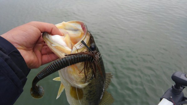 hideup 乃村弘栄 ブログ写真 2018/04/10