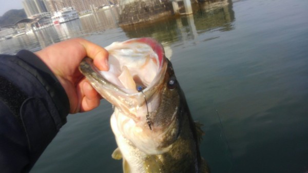 hideup 乃村弘栄 ブログ写真 2018/04/10