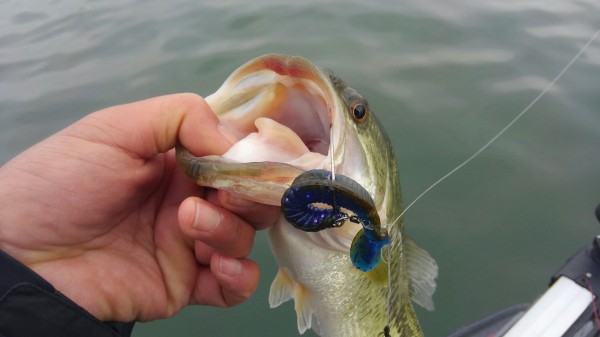 hideup 乃村弘栄 ブログ写真 2018/04/10