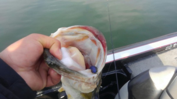 hideup 乃村弘栄 ブログ写真 2018/04/10