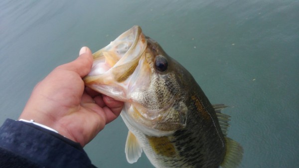 hideup 乃村弘栄 ブログ写真 2018/05/03