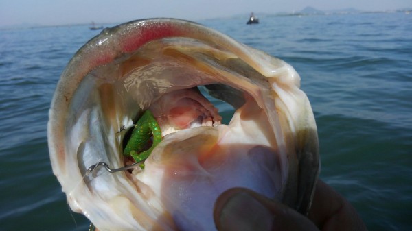 hideup 乃村弘栄 ブログ写真 2018/05/03