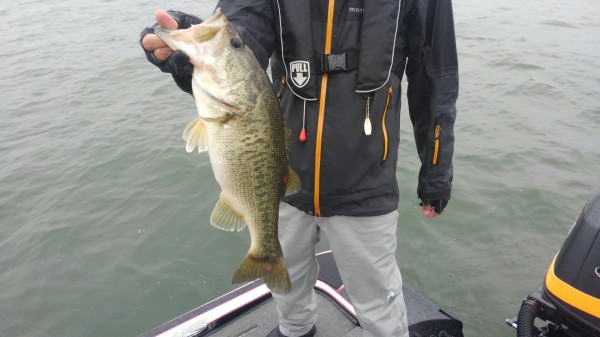 hideup 乃村弘栄 ブログ写真 2018/05/03