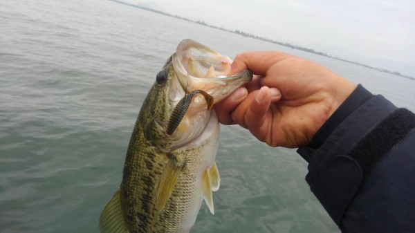 hideup 乃村弘栄 ブログ写真 2018/05/03