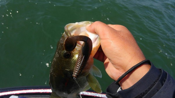 hideup 乃村弘栄 ブログ写真 2018/05/06