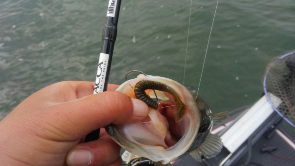 hideup 乃村弘栄 ブログ写真 2018/05/07