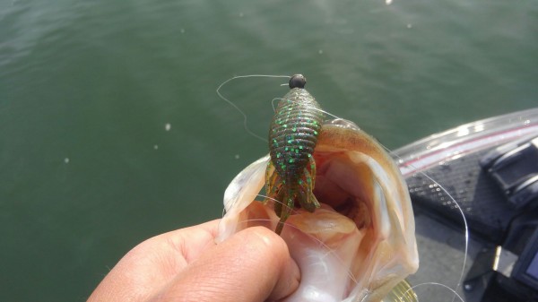 hideup 乃村弘栄 ブログ写真 2018/05/07