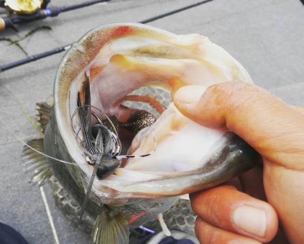 hideup 乃村弘栄 ブログ写真 2018/05/10