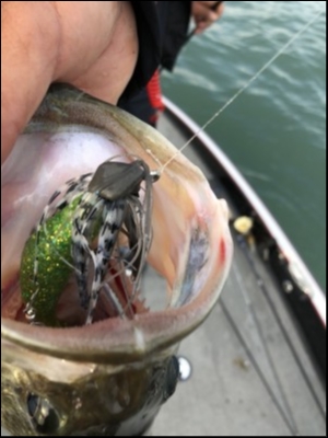 hideup 乃村弘栄 ブログ写真 2018/05/13