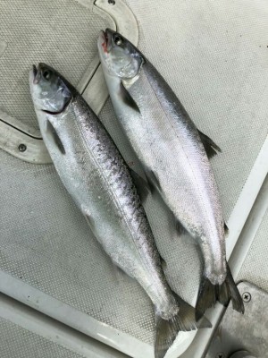 hideup 乃村弘栄 ブログ写真 2018/05/15