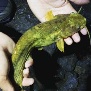 hideup 乃村弘栄 ブログ写真 2018/05/15