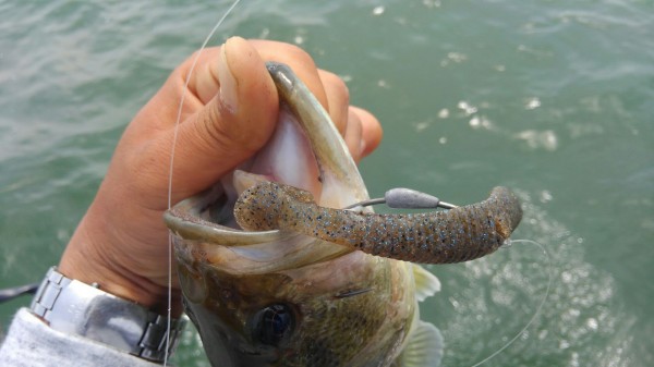 hideup 乃村弘栄 ブログ写真 2018/05/18