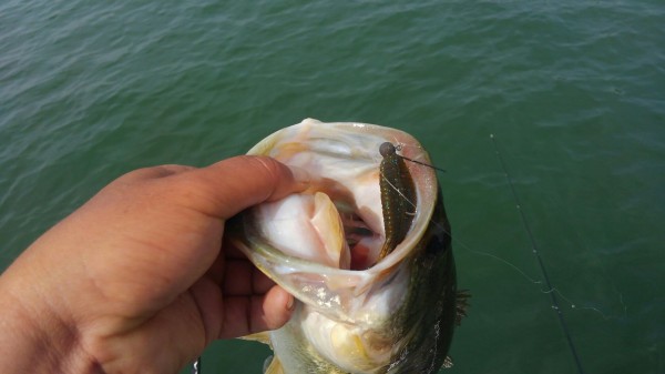 hideup 乃村弘栄 ブログ写真 2018/05/18