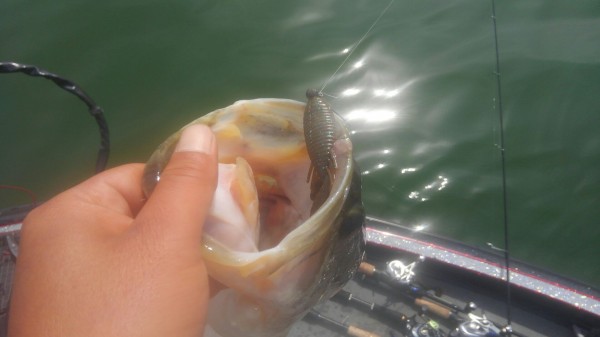 hideup 乃村弘栄 ブログ写真 2018/05/18