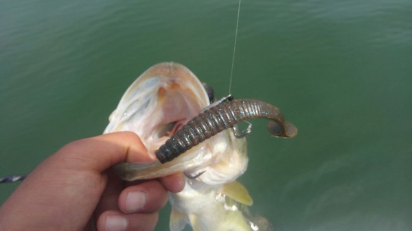 hideup 乃村弘栄 ブログ写真 2018/05/18