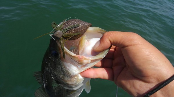 hideup 乃村弘栄 ブログ写真 2018/06/04